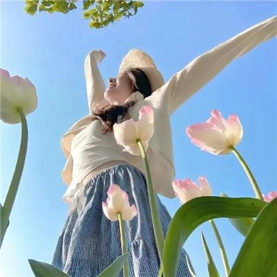 金斯敦市长第二季